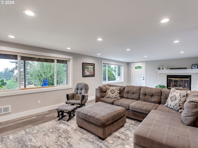 living room with a fireplace and hardwood / wood-style flooring