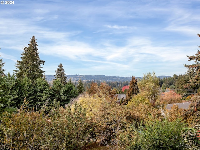 property view of mountains