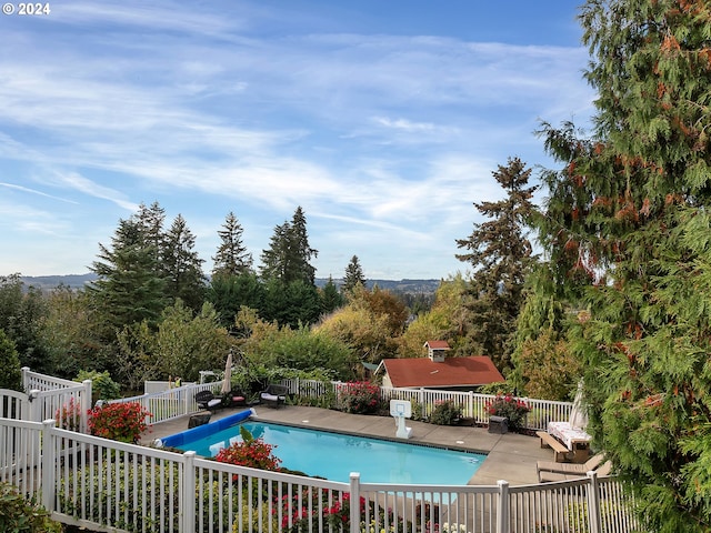 view of swimming pool with a patio