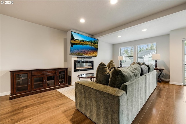 living area featuring baseboards, wood finished floors, and a glass covered fireplace