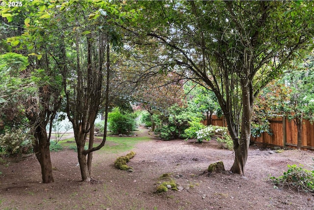 7940 SE 75th Pl, Portland, OR 97206 - view of yard
