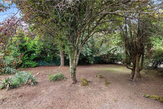 7940 SE 75th Pl, Portland, OR 97206 - view of yard