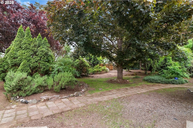 7940 SE 75th Pl, Portland, OR 97206 - view of yard