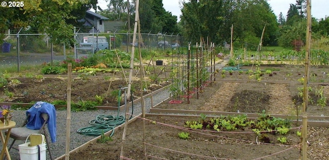 view of yard featuring a garden