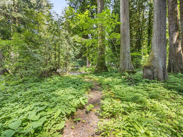 26647 E Welches Rd, Welches, OR 97067 - view of undeveloped land