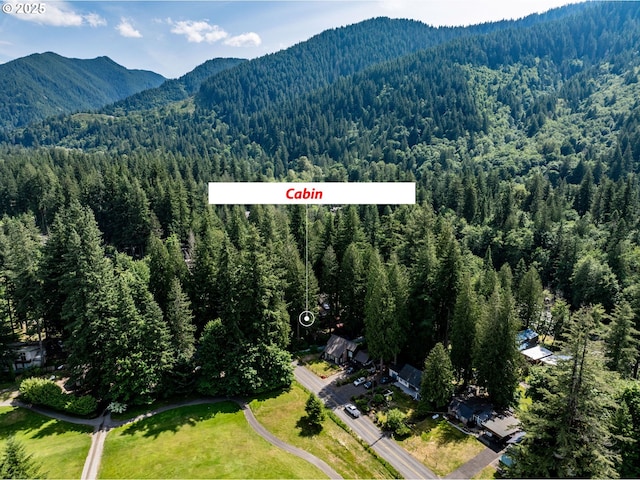 26647 E Welches Rd, Welches, OR 97067 - bird's eye view of a heavily wooded area and mountains