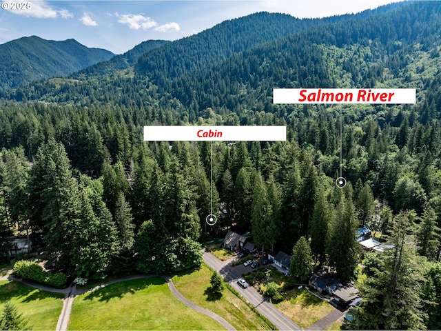26647 E Welches Rd, Welches, OR 97067 - bird's eye view of a heavily wooded area and a mountainous background