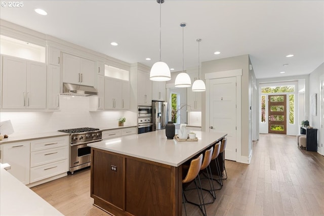 4726 SW 60th Pl, Portland, OR 97221 - kitchen featuring appliances with stainless steel finishes, under cabinet range hood, light wood-style flooring, light countertops, and recessed lighting