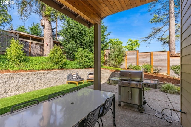 view of patio / terrace with a fenced backyard and area for grilling