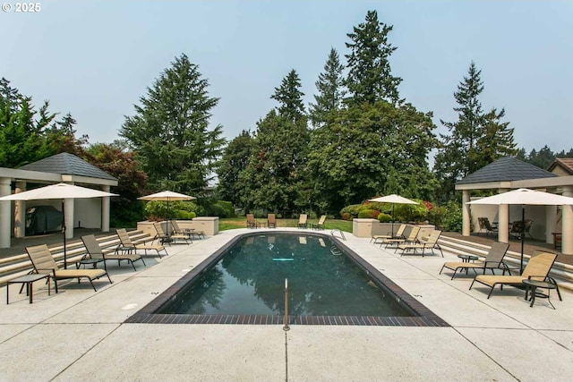 view of swimming pool with a patio