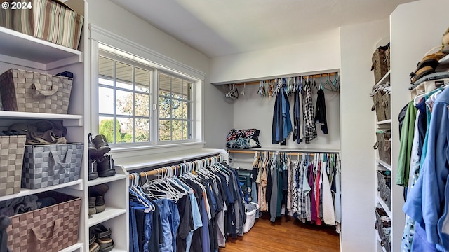 walk in closet featuring wood finished floors