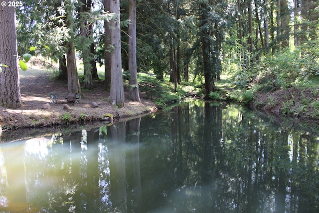 view of water feature