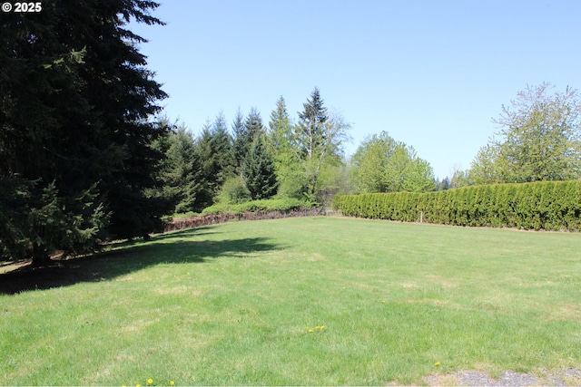 view of yard