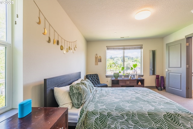 2904 SE 87th Ave, Portland, OR 97266 - bedroom featuring multiple windows, carpet flooring, and a textured ceiling