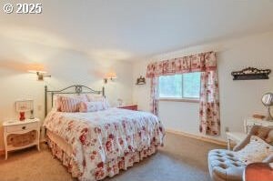 bedroom with carpet floors