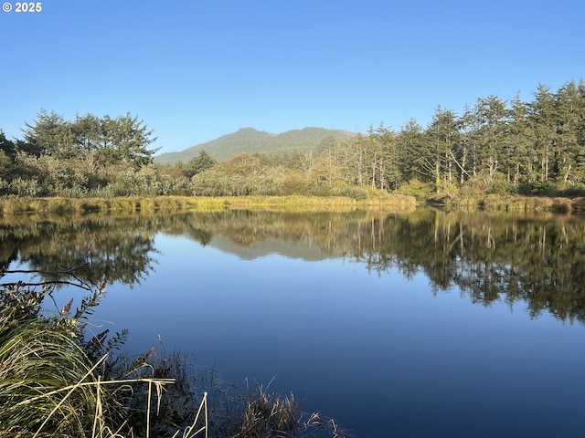 25760 Nedonna Ave, Rockaway Beach, OR 97136 - water view with a forest and a mountainous background