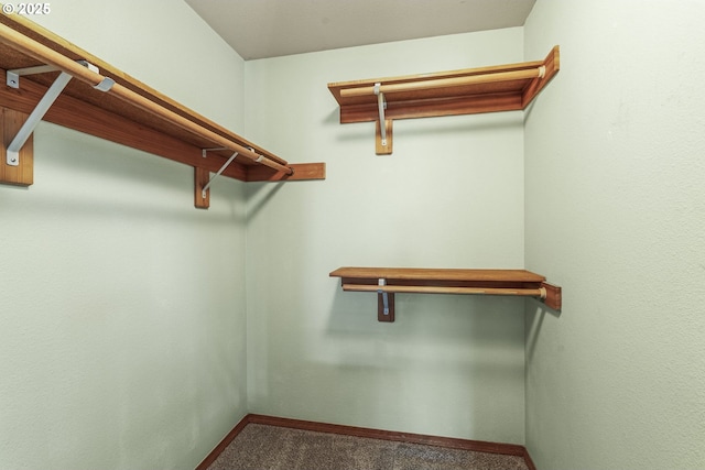 15711 NE 27th Cir, Vancouver, WA 98684 - spacious closet with carpet flooring