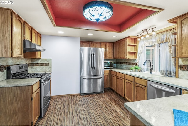 15711 NE 27th Cir, Vancouver, WA 98684 - kitchen featuring appliances with stainless steel finishes, under cabinet range hood, a sink, a tray ceiling, and open shelves