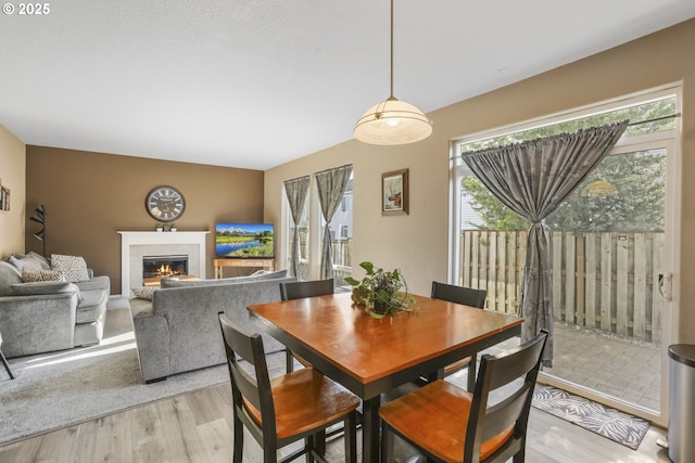 dining room featuring a tiled fireplace, a healthy amount of sunlight, and light wood-style flooring