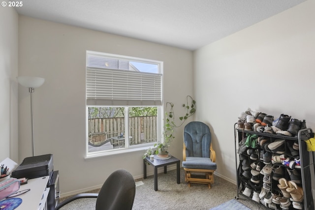 carpeted office with baseboards