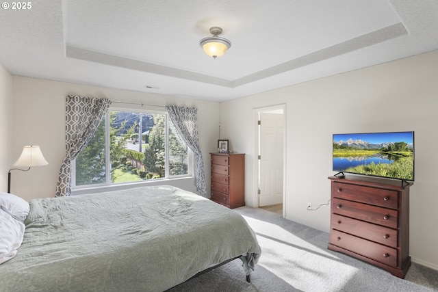 bedroom with carpet flooring and a tray ceiling