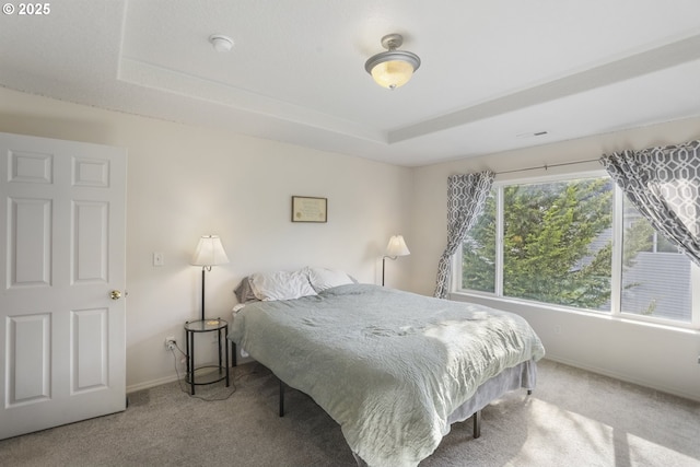 bedroom with carpet floors, baseboards, and a raised ceiling