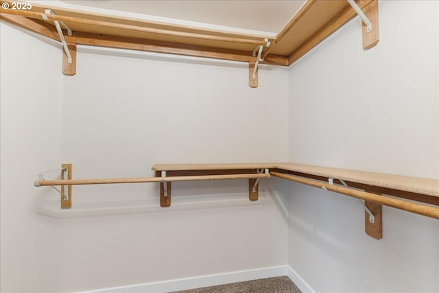 257 SW Nancy Cir, Gresham, OR 97030 - walk in closet featuring carpet floors