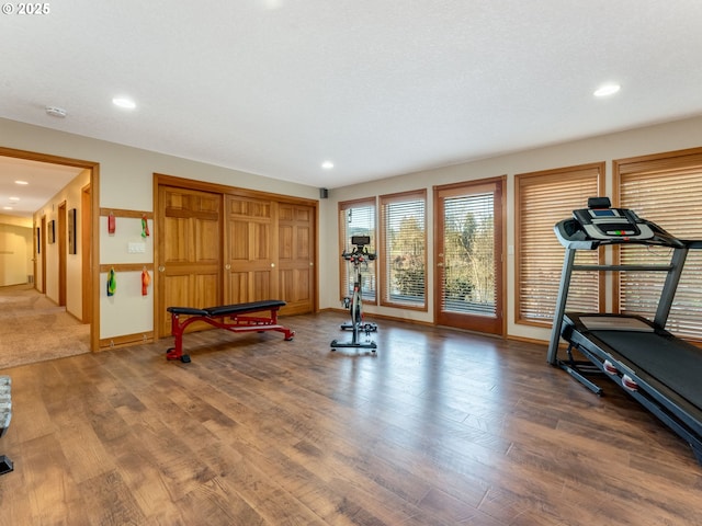 workout area featuring dark hardwood / wood-style flooring