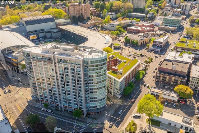 bird's eye view