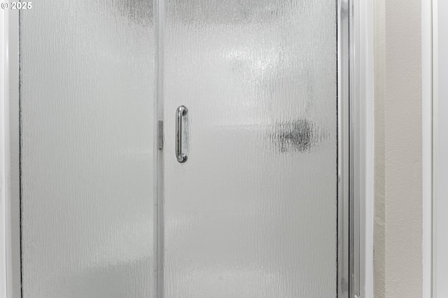 details with a shower with shower door