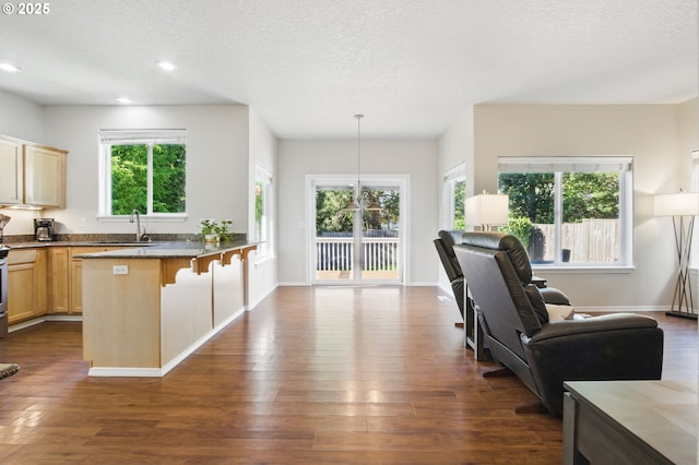 kitchen featuring a healthy amount of sunlight, open floor plan, recessed lighting, and dark wood-type flooring
