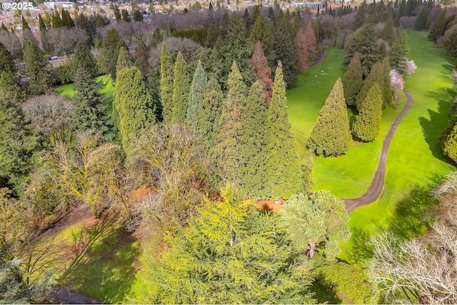 bird's eye view with a view of trees