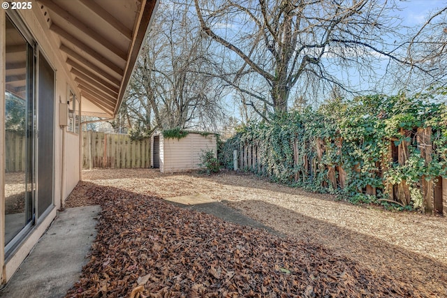 view of yard featuring a storage shed