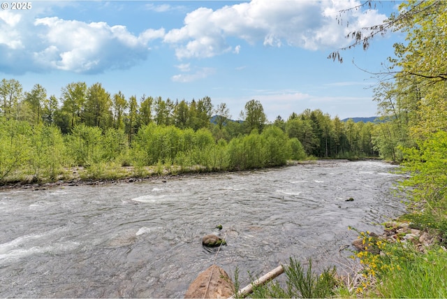 view of local wilderness