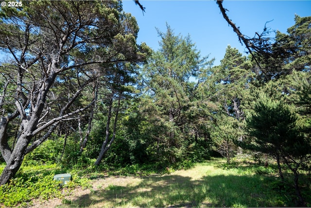 88677 Whiting Ln, Bandon, OR 97411