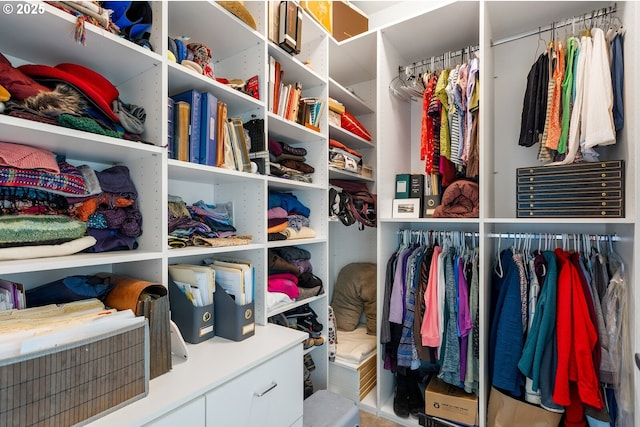 view of spacious closet