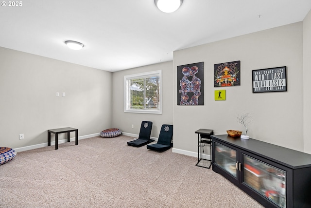 interior space featuring baseboards and carpet