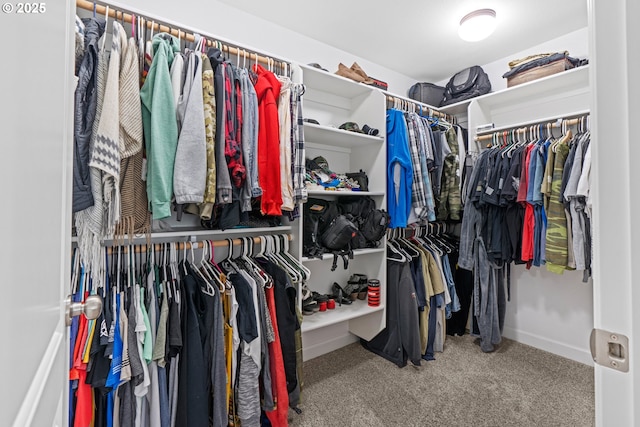 spacious closet with carpet