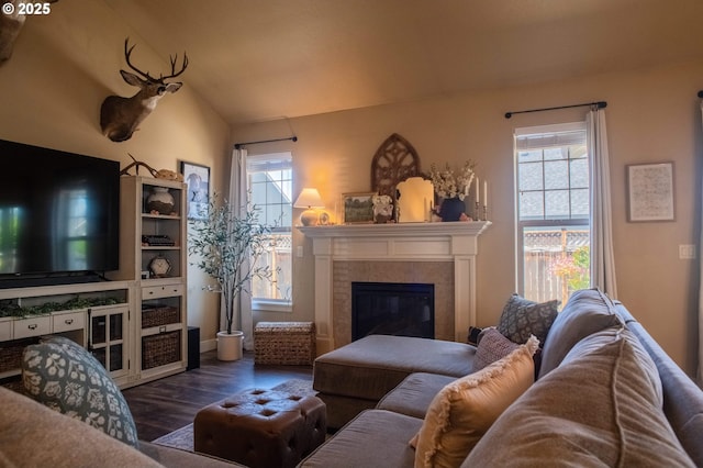 4120 Stellar Way, Springfield, OR 97478 - living area with wood finished floors, vaulted ceiling, and a glass covered fireplace
