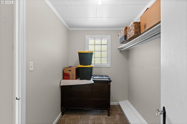 415 W Madrone St, Roseburg, OR 97470 - walk in closet featuring carpet floors