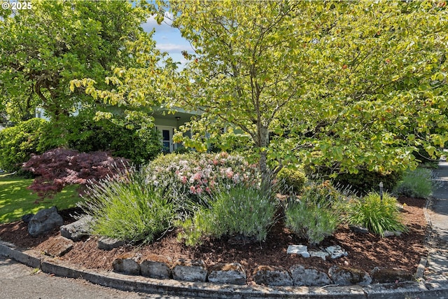 415 W Madrone St, Roseburg, OR 97470 - view of yard