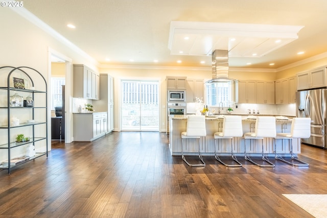kitchen featuring dark wood-style flooring, light countertops, stainless steel appliances, island range hood, and a kitchen island