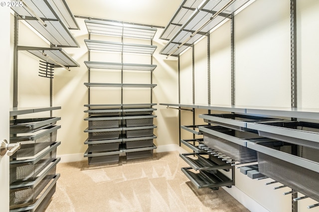 walk in closet with carpet floors