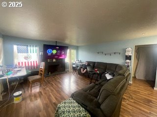 living area featuring a fireplace and wood finished floors