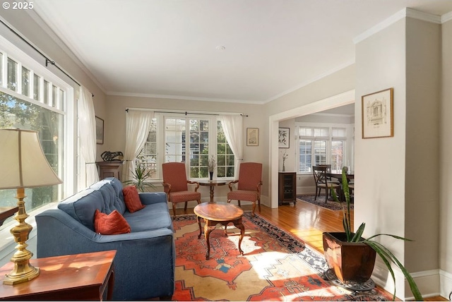 living room featuring crown molding, wood finished floors, and a healthy amount of sunlight