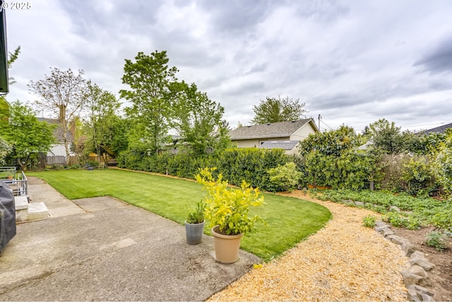 view of yard with a patio and a fenced backyard