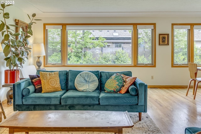 living area featuring baseboards, a wealth of natural light, and wood finished floors