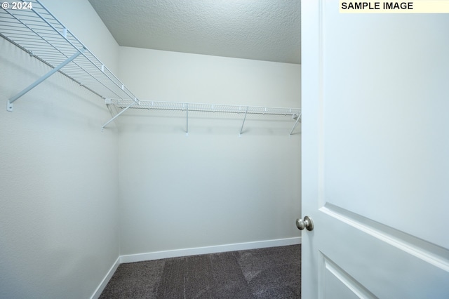 spacious closet with dark carpet