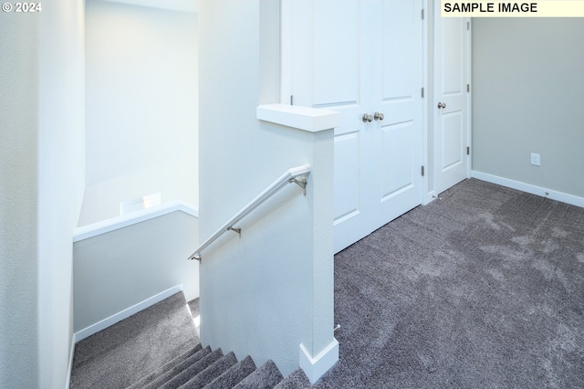 staircase featuring carpet flooring and baseboards