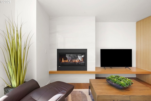 living room featuring a glass covered fireplace and wood finished floors